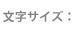 文字サイズ